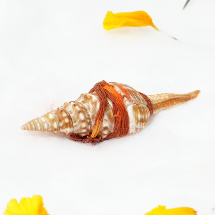 Vashikaran Shankh - Image 1