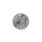 Shani Coin
