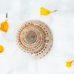 Suraksha Chakra